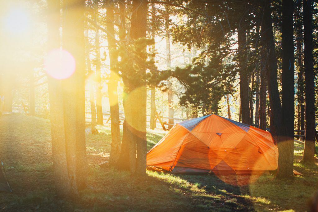 A tent in a forest.